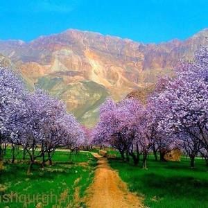 Meet your Posher, Pimana